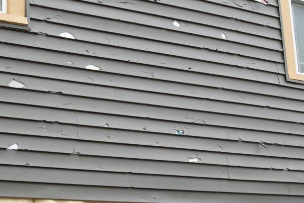 Best Custom Siding Design  in Elizabeth City, NC