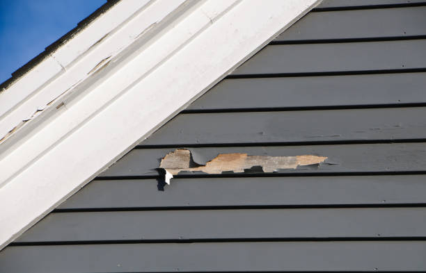 Affordable Siding Repair and Maintenance Services in Elizabeth City, NC